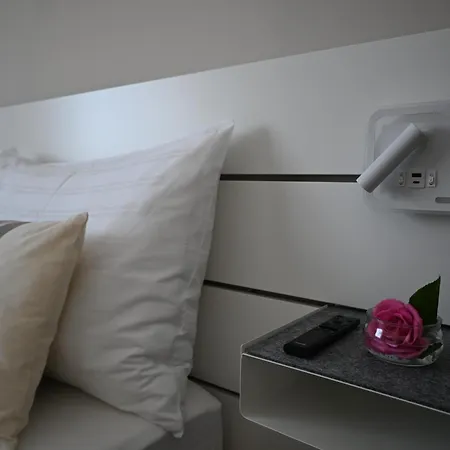 Muehlengasseone Apartment Lenzing